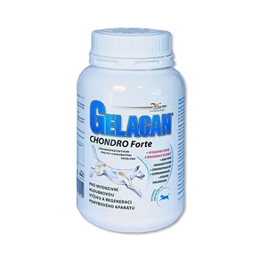 GELACAN Gelacan Chondro Forte 500 g