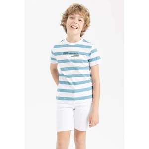 DEFACTO Boys Regular Fit Crew Neck Striped Short Sleeve T-Shirt