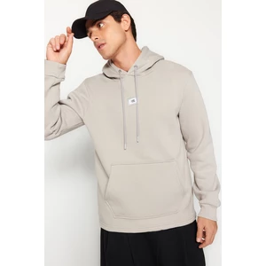 Trendyol Gray Regular/Regular Fit Hooded Long Sleeve Sweatshirt
