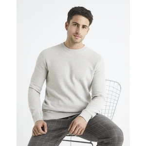 Celio Sweater Bepic with round neckline - Men