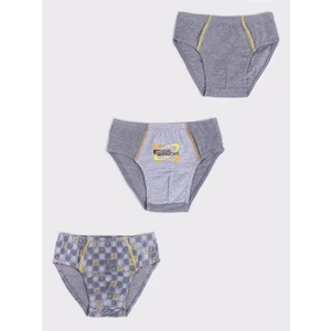 Yoclub Kids's 3Pack Boys' Briefs BMC-0035C-AA10-002