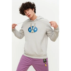 Trendyol Sweatshirt - Gray - Regular fit