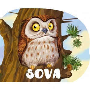 Sova