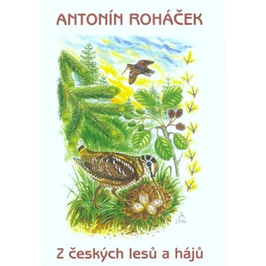 Z českých lesů a hájů - Roháček Antonín