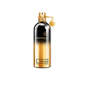 Montale Amber Musk parfumovaná voda unisex 100 ml