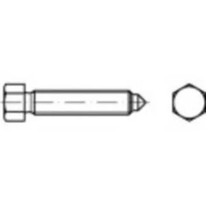 Šestihranné šrouby TOOLCRAFT 109054, N/A, M10, 20 mm, ocel, 100 ks