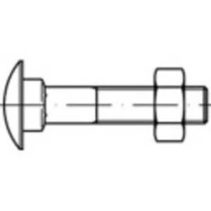 Plochý kulatý šroub TOOLCRAFT 111225, N/A, M10, 240 mm, ocel, 25 ks