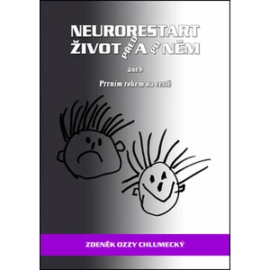 Neurorestart život před a po něm -- aneb Prvním rokem na cestě