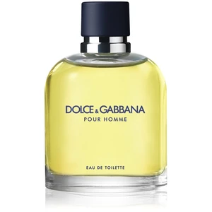 Dolce & Gabbana Pour Homme toaletní voda pro muže 75 ml