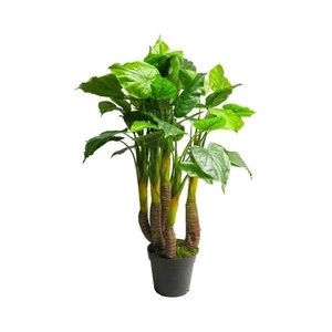 Anthurium AVANTI hrnkové umělé zelené 120cm