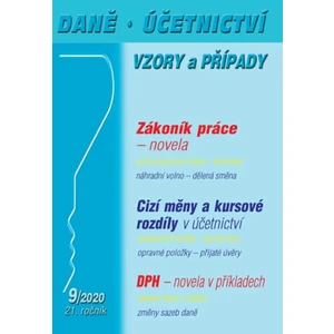 Daně, účetnictví, vzory a případy 9/2020 - Eva Dandová