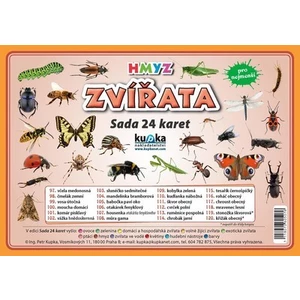 Sada 24 karet Zvířata hmyz - Petr Kupka