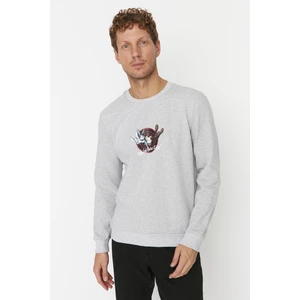 Trendyol Sweatshirt - Gray - Regular fit