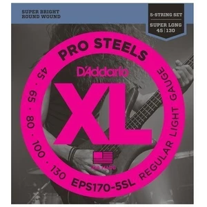 D'Addario EPS170-5SL