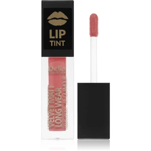 Delia Cosmetics Lip Tint matný tekutý rúž odtieň 011 Candy Raff 5 ml