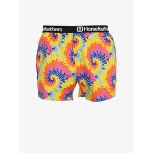 Horsefeathers Frazier Tie dye Men's Shorts (AM166B)