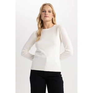 DEFACTO Regular Fit Crew Neck Pullover