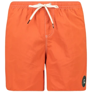 Pantaloncini da bagno da uomo Quiksilver OCEAN SCALLOP VOLLEYS