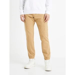 Celio Pants slim cargo Dolyte - Men