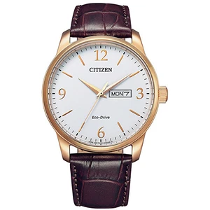 Citizen Eco-Drive Classic BM8553-16AE