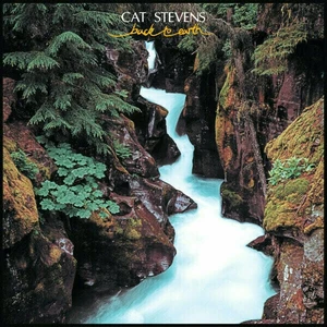 Back To Earth - YUSUF,STEVENS CAT [Vinyl album]