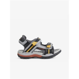 Black-grey boys sandals Geox Borealis - Boys