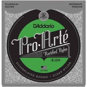 D'Addario EJ29