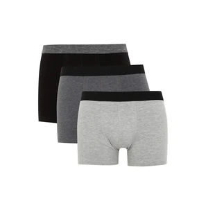 DEFACTO Regular Fit 3-pack Boxer