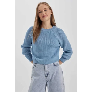 DEFACTO Regular Fit Sweter z dzianiny z okrągłym dekoltem