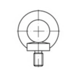 Závěsné šrouby TOOLCRAFT 1061343, N/A, M20, nerezová ocel, 1 ks