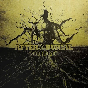 After the Burial Rareform (LP) Jubilejní edice