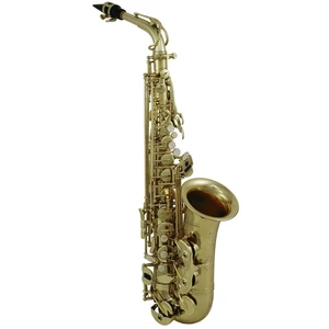 Roy Benson AS-302 Alto saxophone