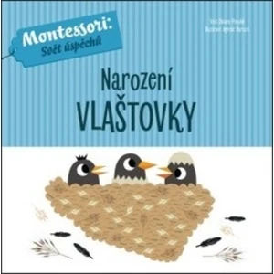 Narození vlaštovky - Piroddi Chiara