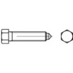 Šestihranné šrouby TOOLCRAFT 109117, N/A, M20, 80 mm, ocel, 10 ks