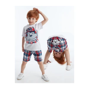 Denokids Monkey Plaid Men's Shorts Set