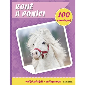 Koně a poníci -- Plakát a 100 samolepek - Kolektiv autorů