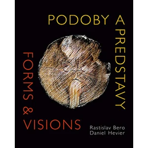 Podoby a predstavy - Daniel Hevier, Rastislav Bero