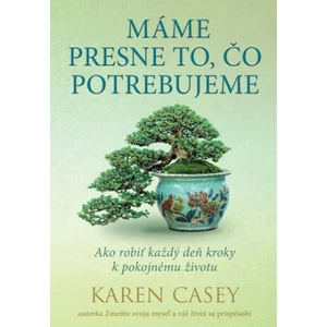 Máme presne to, čo potrebujeme - Karen Casey