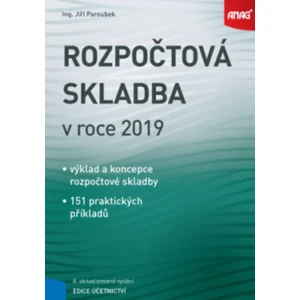 Rozpočtová skladba v roce 2019 - Paroubek Jiří