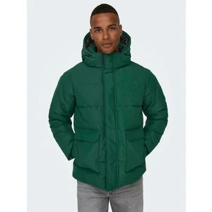 Dark Green Men's Quilted Winter Jacket ONLY & SONS Carl - Men