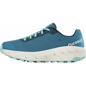 Icebug Arcus Mens RB9X Aqua 42