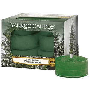 Yankee Candle Aromatické čajové sviečky Evergreen Mist 12 x 9,8 g