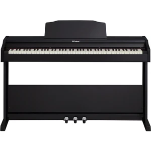 Roland RP102 Black