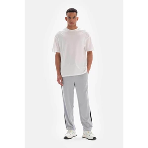 Dagi Light Gray Men's Sweatpants Cupro