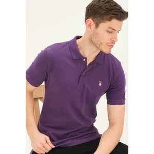 Polo da uomo dewberry T8561