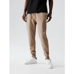 Diverse Men's sweatpants ATH SP 223