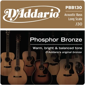 D'Addario PBB130 Corde de basse à l'unité