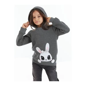 Denokids Sweatshirt - Gray - Regular fit