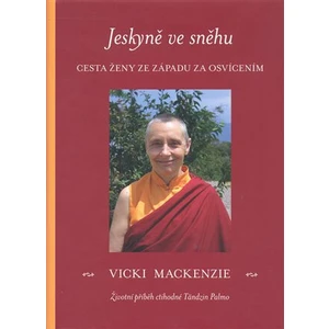 Jeskyně ve sněhu - Mackenzie Vicki