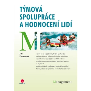 Týmová spolupráce a hodnocení lidí, Plamínek Jiří